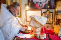 Божественная литургия в день памяти Матроны Московской Божественная литургия в день памяти Матроны Московской