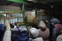 Группа прихожан Спасо-Преображенского храма г.Гомеля совершили паломническую поездку в Оптину Пустынь Группа прихожан Спасо-Преображенского храма г.Гомеля совершили паломническую поездку в Оптину Пустынь