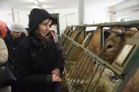 Группа прихожан Спасо-Преображенского храма г.Гомеля совершили паломническую поездку в Оптину Пустынь Группа прихожан Спасо-Преображенского храма г.Гомеля совершили паломническую поездку в Оптину Пустынь