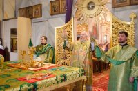 Божественная литургия в Неделю ваий (Вербного Воскресения)