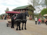 Паломническо-туристическая поездка по маршруту Лавришево-Каробчицы-Гродно