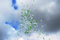 21 июня Преосвященный Стефан в сонме архиереев сослужил Святейшему Патриарху Кириллу