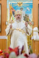 Божественная литургия в Неделю 7-ю по Пятидесятнице Божественная литургия в Неделю 7-ю по Пятидесятнице