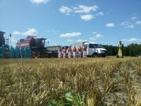 Священнослужители Гомельской епархии принимают участие в открытии уборочного сезона