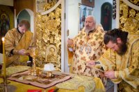 Божественная литургия в неделю 23-ю по Пятидесятнице Божественная литургия в неделю 23-ю по Пятидесятнице