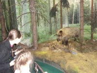 Прихожане и воспитанники воскресной школы храма Иверской иконы Божией Матери г. Гомеля, совершили паломническую поездку к святыням городов Кобрина и Бреста