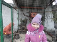 Прихожане и воспитанники воскресной школы храма Иверской иконы Божией Матери г. Гомеля, совершили паломническую поездку к святыням городов Кобрина и Бреста