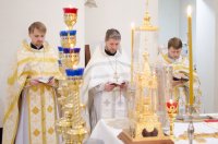 Божественная литургия в храме иконы Божией Матери "Грузинская" г.Гомеля