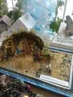 Подведены итоги выставки детского и семейного творчества «Свет Рождества Христова»