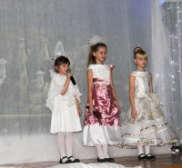 Театрализованное представление «Путеводная звезда» в г.Рогачеве