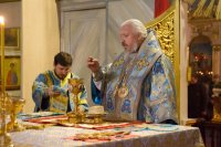 Божественная литургия в Свято-Петро-Павловском кафедральном соборе г.Гомеля Божественная литургия в Свято-Петро-Павловском кафедральном соборе г.Гомеля