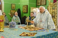 Божественная литургия в день празднования иконы Божией Матери «Козельщанская»