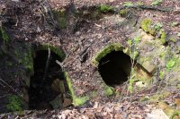 К 10-летию возрождения Свято-Михайловского храма в г.Гомеле