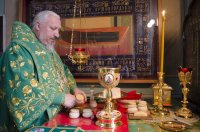 Божественная литургия в праздник Входа Господня в Иерусалим Божественная литургия в праздник Входа Господня в Иерусалим