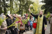 Божественная литургия в праздник Входа Господня в Иерусалим Божественная литургия в праздник Входа Господня в Иерусалим
