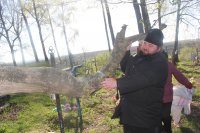 Акции по приведению в порядок мест захоронений, братских могил и мемориальных комплексов Акции по приведению в порядок мест захоронений, братских могил и мемориальных комплексов