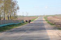 Акции по приведению в порядок мест захоронений, братских могил и мемориальных комплексов Акции по приведению в порядок мест захоронений, братских могил и мемориальных комплексов