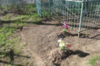 Акции по приведению в порядок мест захоронений, братских могил и мемориальных комплексов Акции по приведению в порядок мест захоронений, братских могил и мемориальных комплексов