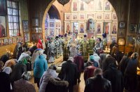 Чернобыль… Одного хватает слова – И сердце, как болезненный комок