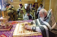 Чернобыль… Одного хватает слова – И сердце, как болезненный комок