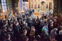 Чернобыль… Одного хватает слова – И сердце, как болезненный комок