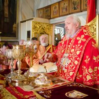 Соборное богослужение духовенства Гомельской епархии в Светлую Седмицу