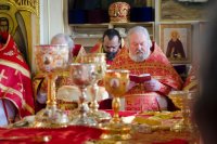 Соборное богослужение духовенства Гомельской епархии в Светлую Седмицу