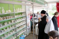 ГОМЕЛЬ. Праздник Жен-Мироносиц