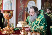 Феодосие отче, монашествующих светило и пастырю!