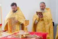 Божественная литургия в день памяти бессребреников Космы и Дамиана