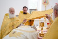 Божественная литургия в день памяти бессребреников Космы и Дамиана