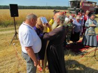 ДОБРУШ. С Божьего благословения в районе началась обычная, но такая ответственная работа