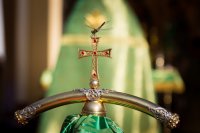 В Гомеле начались торжества, посвященные дню памяти прп. Манефы Гомельской В Гомеле начались торжества, посвященные дню памяти прп. Манефы Гомельской