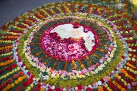 Торжества в день памяти прп.Манефы Гомельской Торжества в день памяти прп.Манефы Гомельской