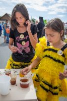 Божественная литургия в праздник происхождения честных древ Животворящего Креста Господня