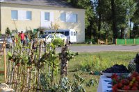 Светлогорск. 202-года а.г. Боровики