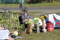 Светлогорск. 202-года а.г. Боровики