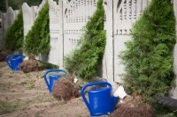 Преосвященный Стефан и Преосвященный Вениамин совершили Божественную литургию