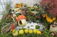 ГОМЕЛЬ. 14-й областной экологический конкурс «Зелёный витамин»