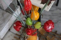 ГОМЕЛЬ. 14-й областной экологический конкурс «Зелёный витамин»