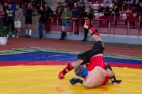 Преосвященный Стефан принял участие в церемонии открытия XIV Межгосударственного турнира по панкратиону «Белая Русь»