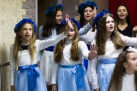 Праздник белых журавлей