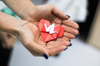 Праздник белых журавлей