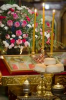 Всенощное бдение в канун дня памяти св. блг. кн. Александра Невского