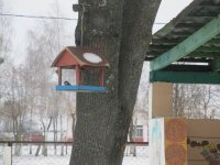 «День добрых дел» «День добрых дел»