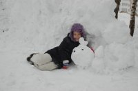 Рождественская ёлка в зимнем лесу