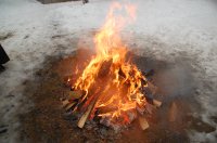 Рождественская ёлка в зимнем лесу