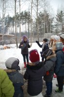 Рождественская ёлка в зимнем лесу