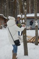 Рождественская ёлка в зимнем лесу