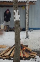 Рождественская ёлка в зимнем лесу